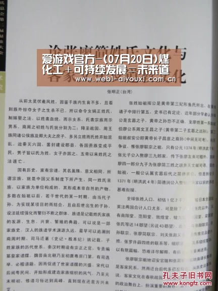 爱游戏官方-(07月20日)煤化工+可持续发展=未来道路(图2) 爱游戏体育全站